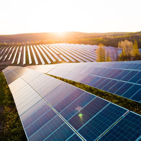 Solar panels (solar cell) in solar farm with sun lighting to cre