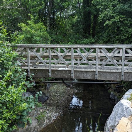 Foot Bridge (108)-1.0-